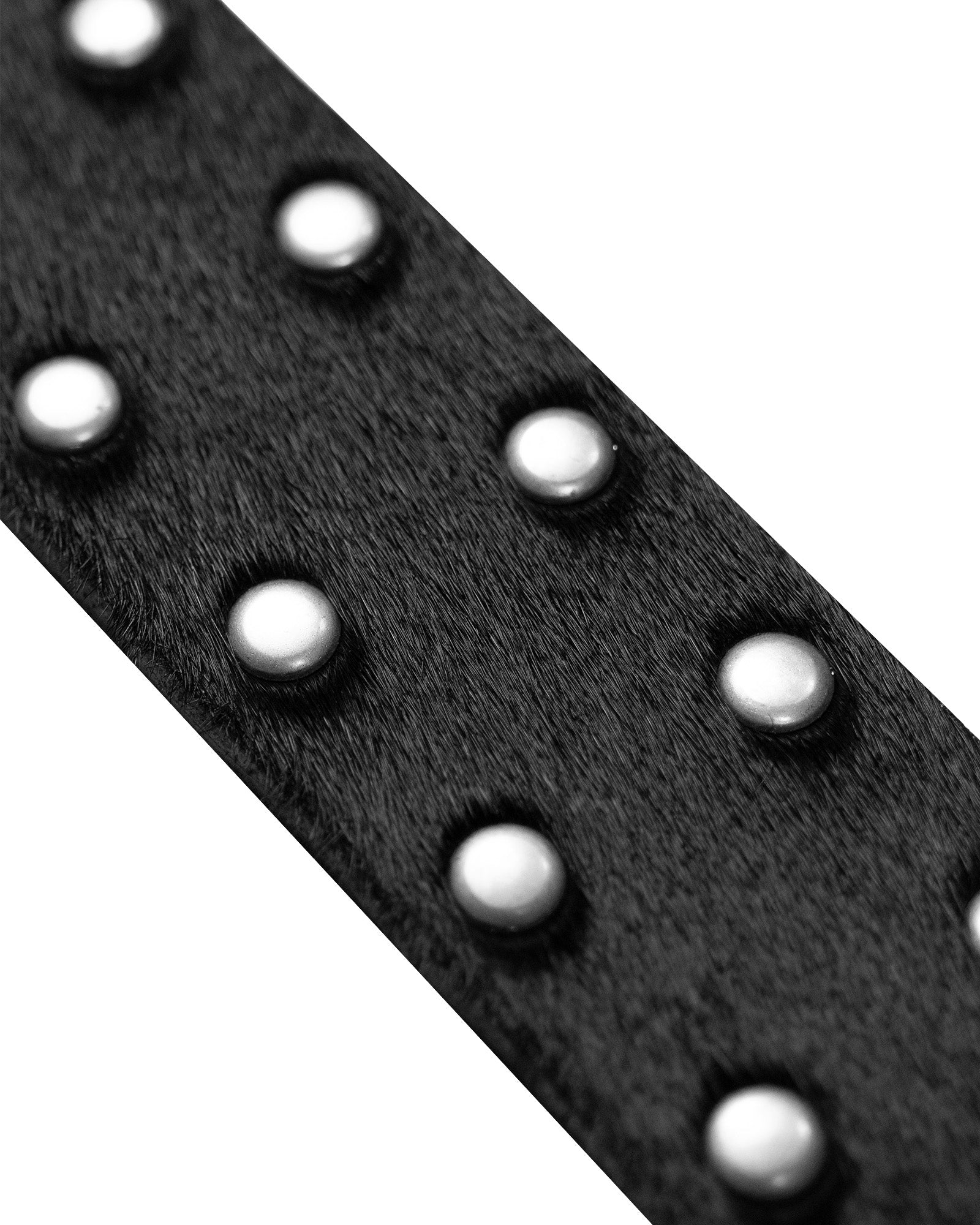 CHAOS STUDDED BELT